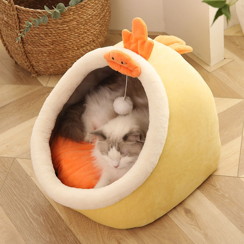 Grotte pour Chat